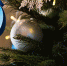 Телефон для мамы, прогулка с дельфинами и «чтобы никто не болел» — о чем мечтают дети - Город Нефтегорск